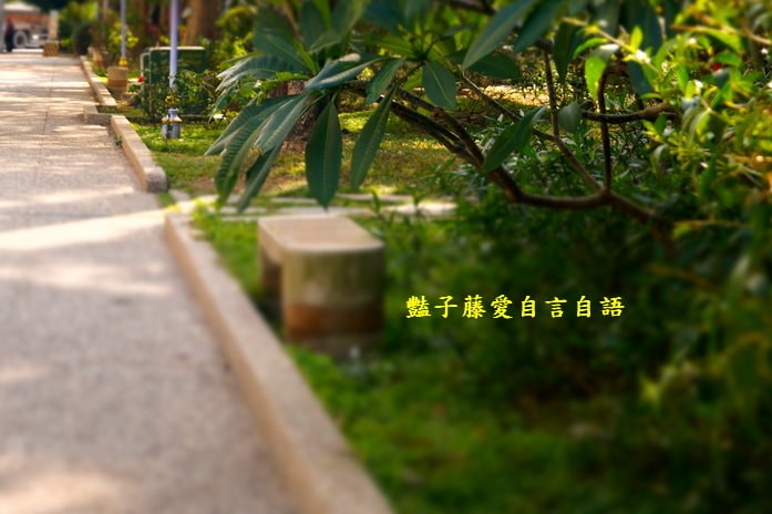 臺中市美術園道商圈樂活深度一日遊【豔子藤臺中商圈一日遊】