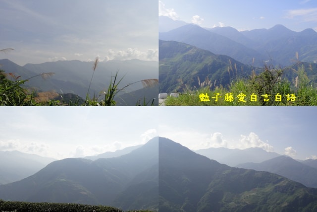 南投旅遊＆清境蕓蘆民宿。風起雲嵐！看台灣小瑞士山景【豔子藤旅遊全地圖】