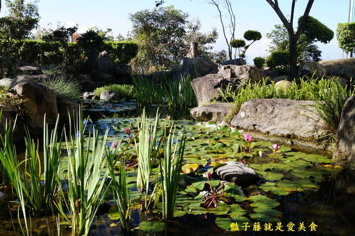 【清境茲心園山莊】南投住宿旅遊．湖光山色．落日餘暉．清境民宿雲霧飄渺．許自己一個放空悠閒的假期