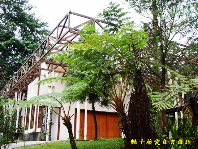 南投旅遊＆台灣最美麗的森林小學。鹿谷內湖國小【豔子藤旅遊全地圖】登上聯合新聞網首頁