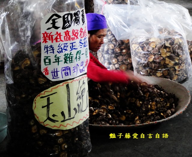 台中在地小吃＆玉山香菇。品嚐香菇的最好時機【豔子藤就是愛美食】