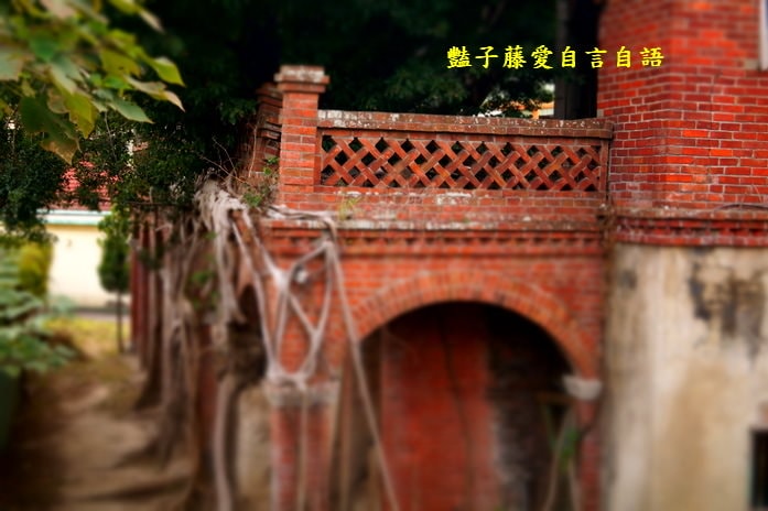 臺中市東海藝術街商圈樂活深度一日遊【豔子藤臺中商圈一日遊】