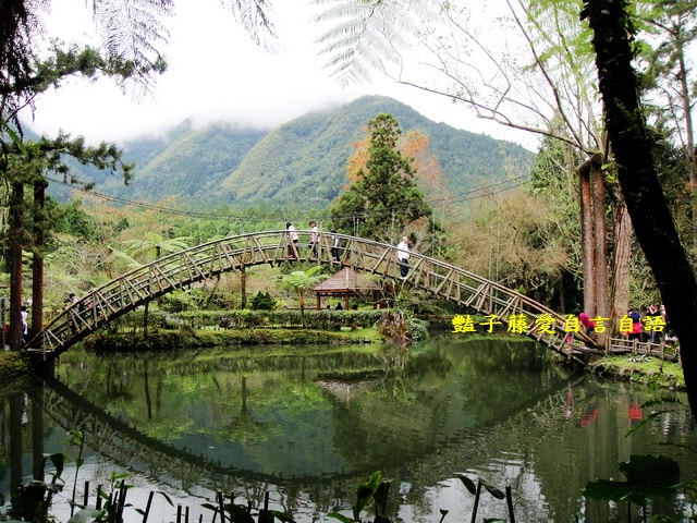 南投旅遊＆遇見可愛松鼠。你可以再靠近一點【豔子藤旅遊全地圖】