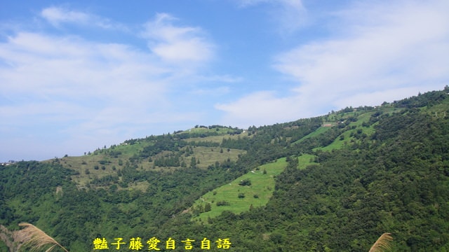 南投旅遊＆清境蕓蘆民宿。風起雲嵐！看台灣小瑞士山景【豔子藤旅遊全地圖】