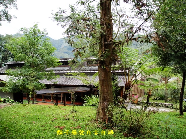 南投旅遊＆台灣最美麗的森林小學。鹿谷內湖國小【豔子藤旅遊全地圖】登上聯合新聞網首頁