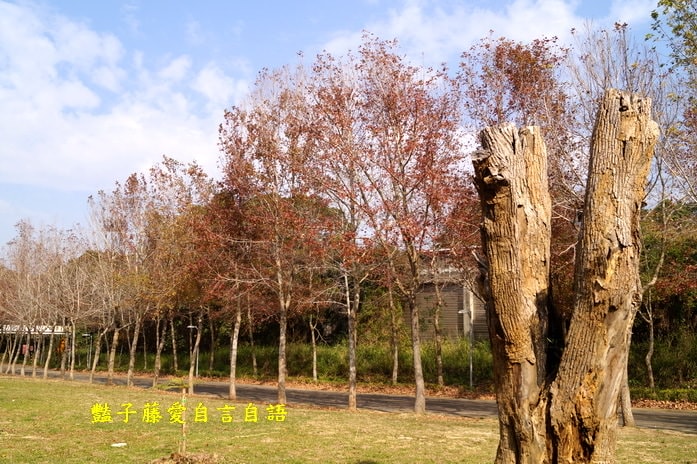 后豐鐵馬道一日遊．減肥甩肉飽覽美景【豔子藤旅遊全地圖】