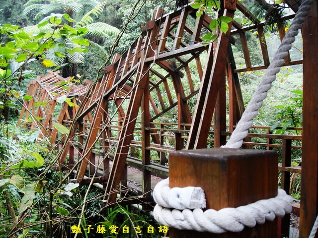 南投旅遊＆溪頭探索森林。精靈聚落喜迎芬多精的洗禮【豔子藤旅遊全地圖】