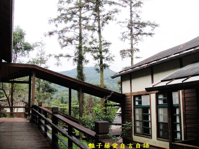 南投旅遊＆台灣最美麗的森林小學。鹿谷內湖國小【豔子藤旅遊全地圖】登上聯合新聞網首頁