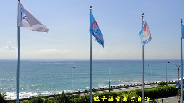 【豔子藤攝影學習站】燦爛艷陽天　 染上豔陽的顏色