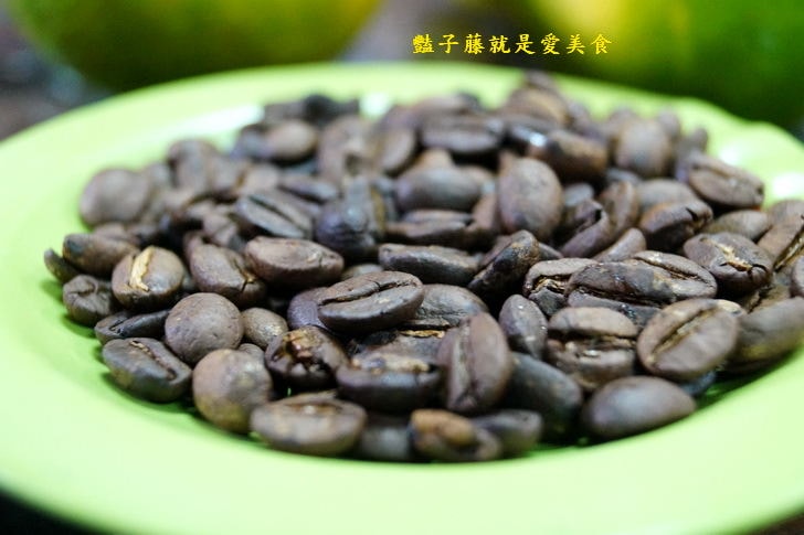 【台灣咖啡．南鄉咖啡園】南投中寮愛妻咖啡．無師自通的咖啡園主．鵝鵝鵝曲項向天歌．鵝群守護的咖啡園