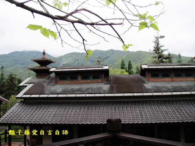 南投旅遊＆台灣最美麗的森林小學。鹿谷內湖國小【豔子藤旅遊全地圖】登上聯合新聞網首頁