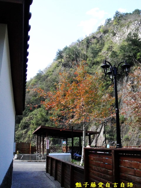 台中旅遊＆統一谷關溫泉養生會館。日式庭園露天溫泉泡湯去【豔子藤旅遊全地圖】