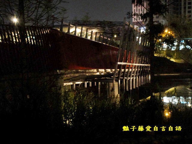 台中旅遊＆秋紅谷廣場。一場美麗的意外【豔子藤旅遊全地圖】