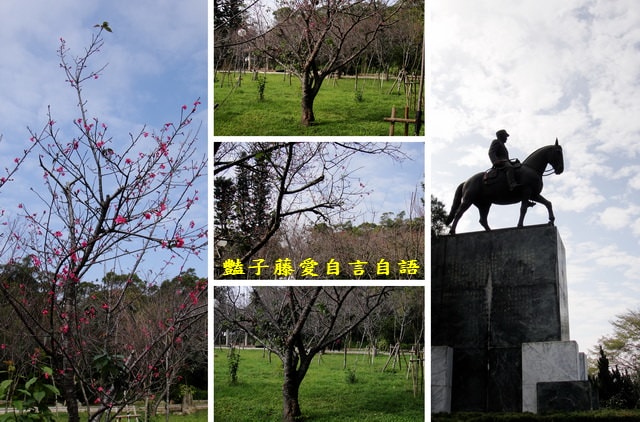 台中旅遊＆大甲鐵砧山劍井古蹟歷史傳說。綠意步道人文風情【豔子藤旅遊全地圖】