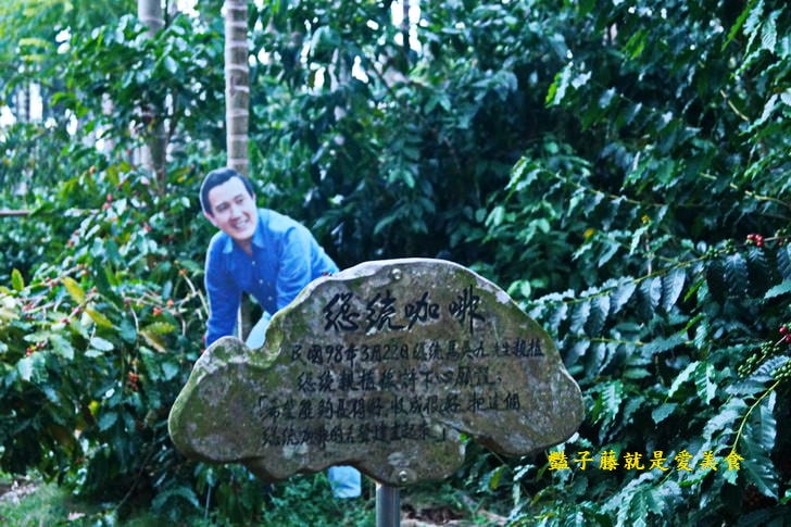 中埔總統咖啡．福友咖啡農場．喝台灣咖啡吃甜肉桂葉烤雞腿餐【豔子藤樂遊中埔四季好咖自由行】