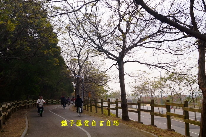 后豐鐵馬道一日遊．減肥甩肉飽覽美景【豔子藤旅遊全地圖】